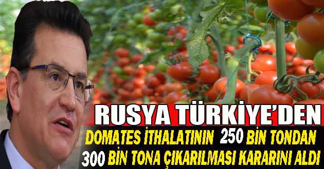 Rusya Türkiye’den domates ithalatının  250 bin tondan 300 bin tona çıkarılması kararını aldı