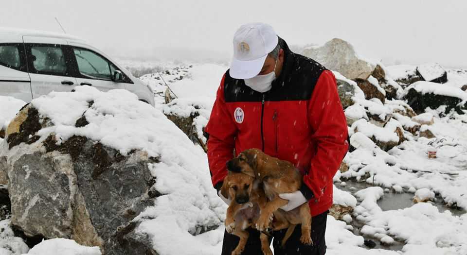 Bursada yavru köpekler donmaktan kurtarıldı