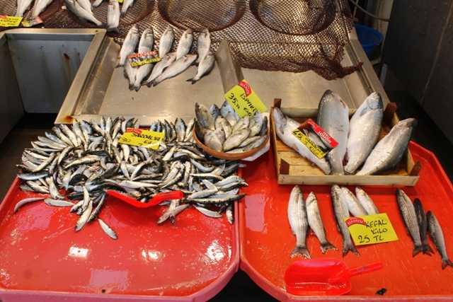 Kocaelide balık fiyatları zirveye koşuyor