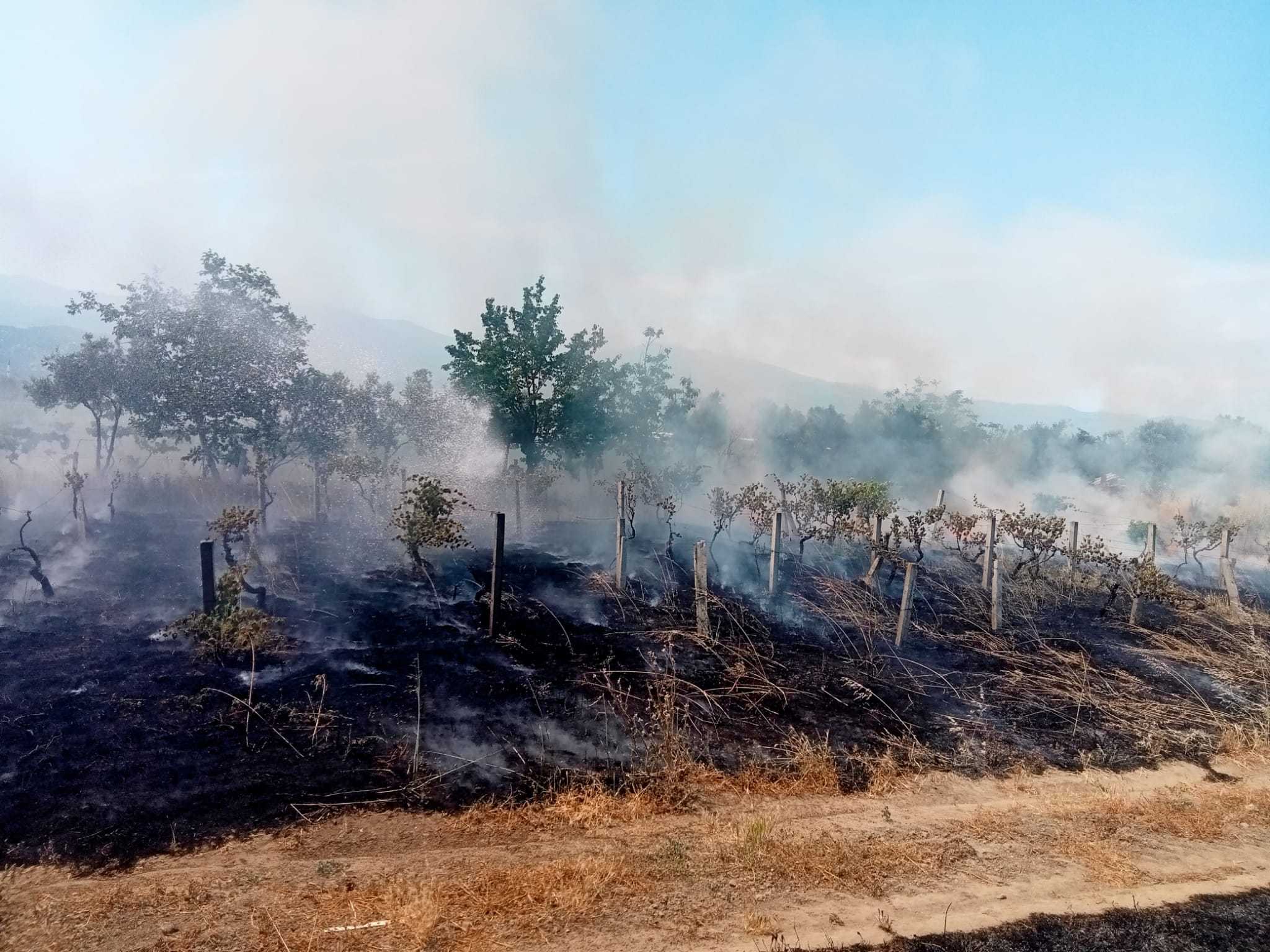 Manisa’da ekin yangınlarına karşı uyarı
