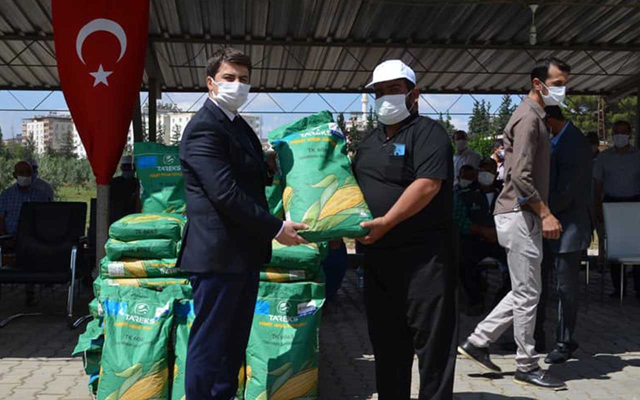 Kilis’te 107 üreticiye silajlık mısır tohumu dağıtıldı