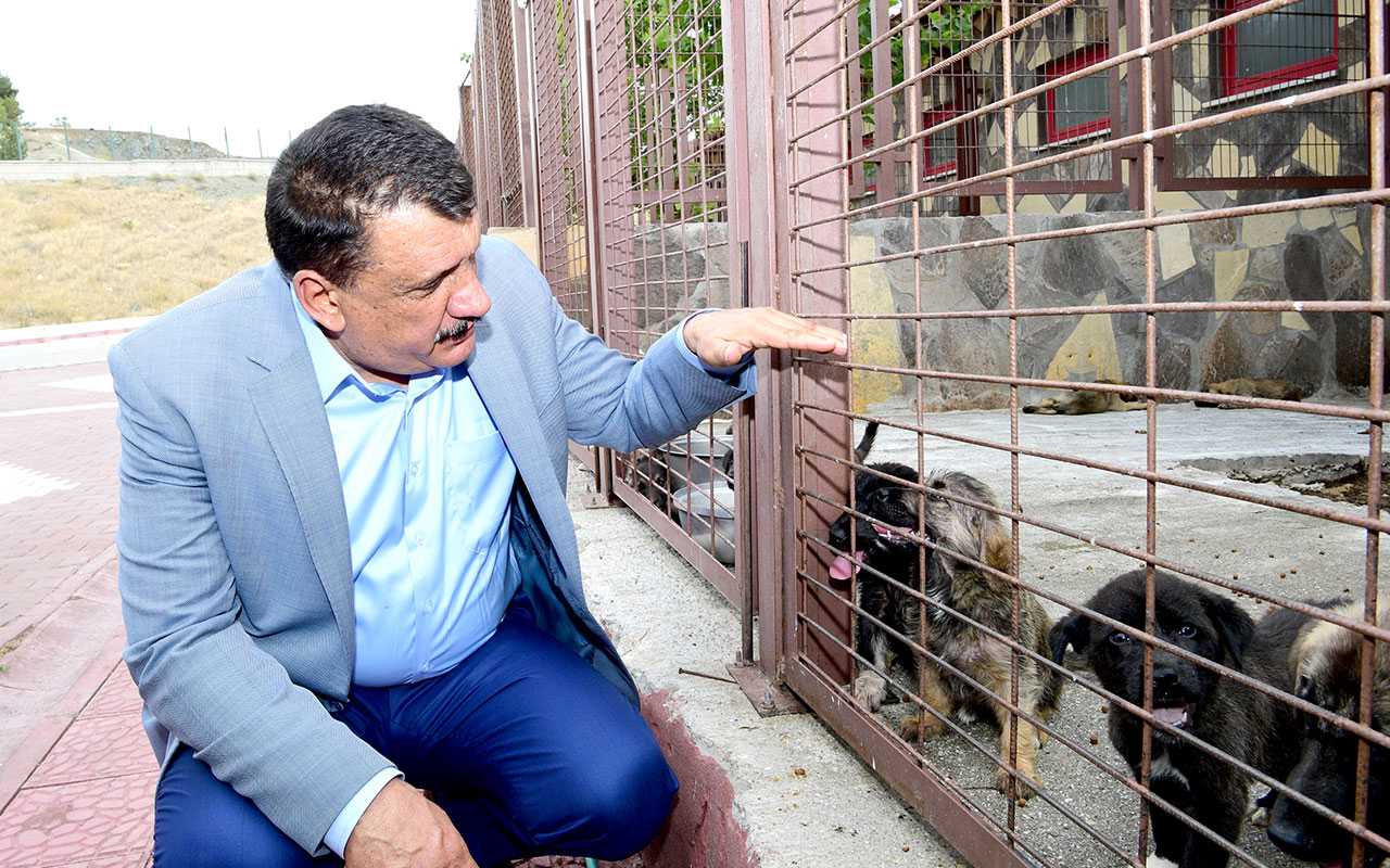 Malatya Yeniköy’de geçici hayvan barınağına ziyaret