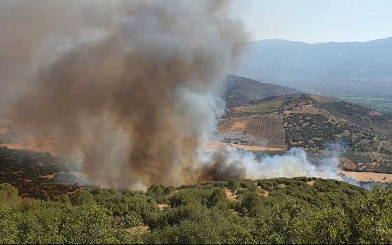 Aydın Nazilli’de arazi yangını ormana sıçradı