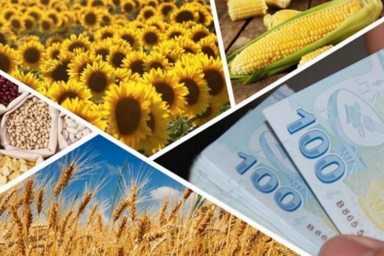 757 milyon lira tarımsal destek bugün hesaplarda