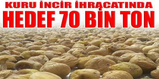 Kuru incir ihracatında hedef 70 bin ton