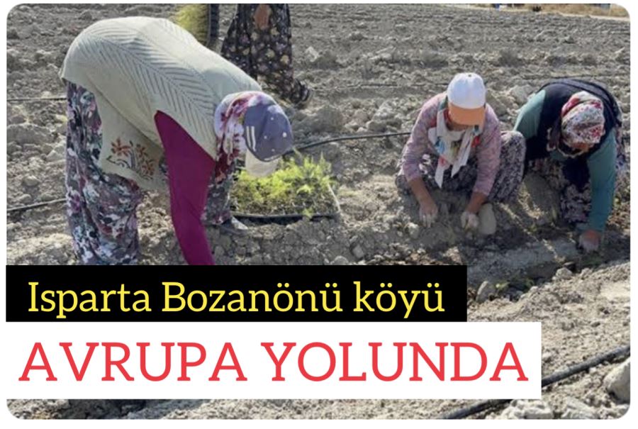Isparta Bozanönü köyü Avrupa yolunda