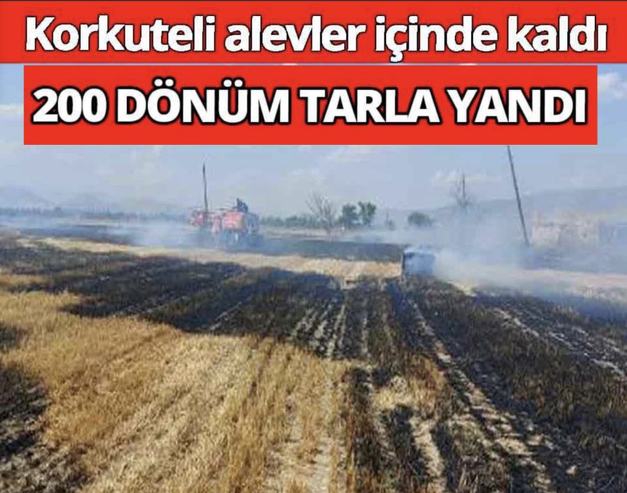 Korkuteli