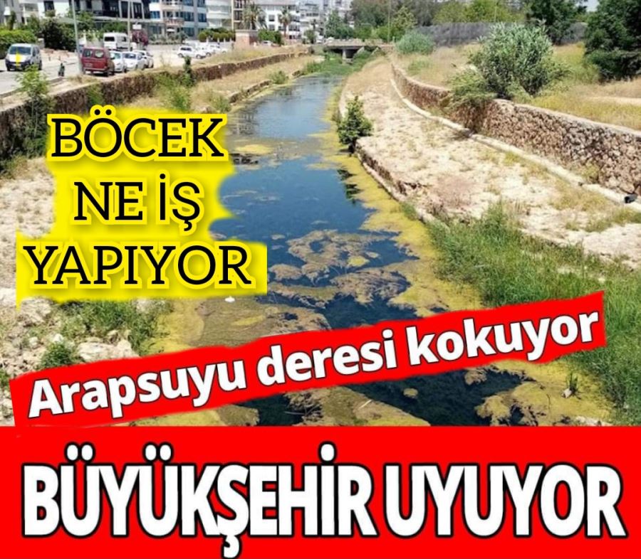 Arapsuyu deresinin rengi değişti! Kokudan geçilmiyor