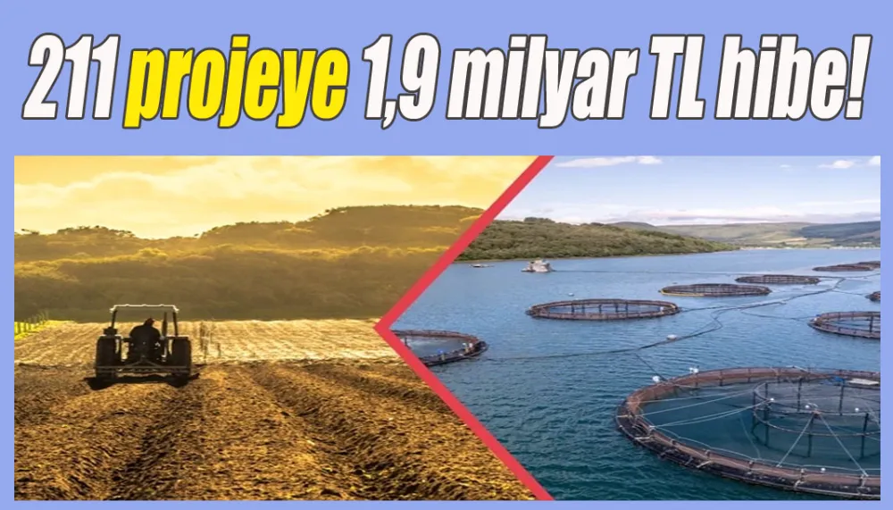 211 projeye 1,9 milyar TL hibe!