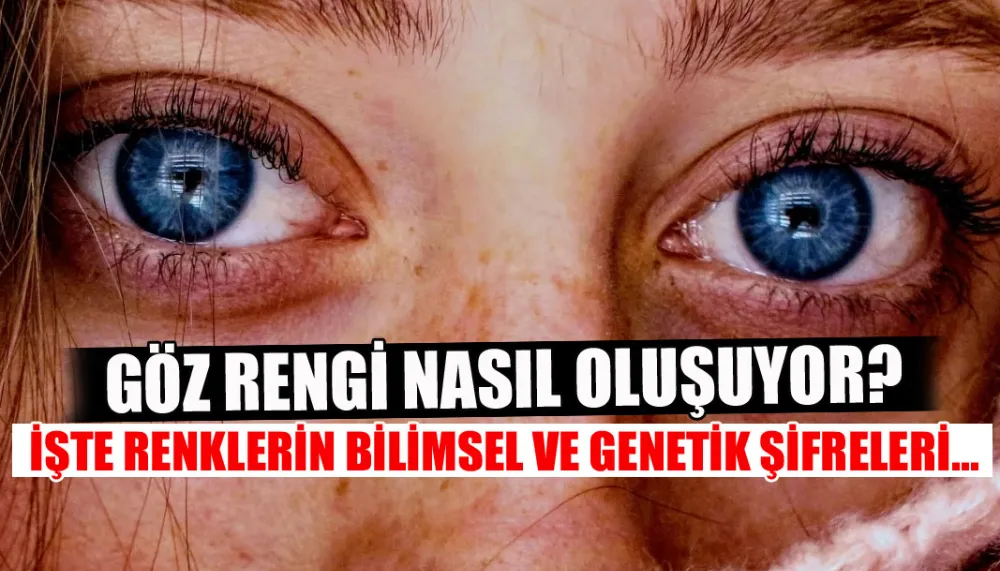 Göz rengi nasıl oluşuyor? İşte renklerin bilimsel ve genetik şifreleri...