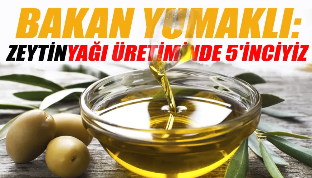 Bakan Yumaklı: Zeytinyağı üretiminde 5