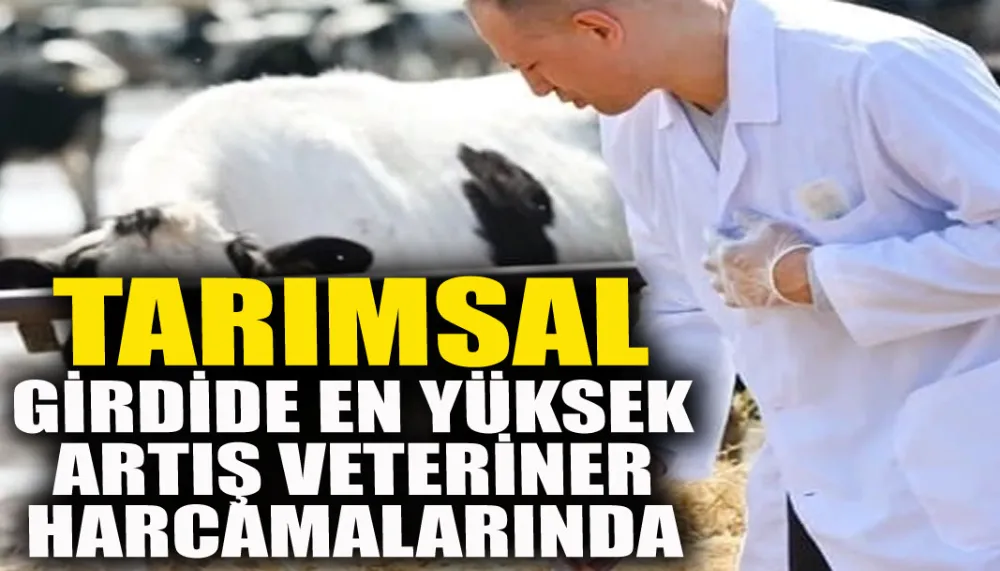 Tarımsal girdide en yüksek artış veteriner harcamalarında