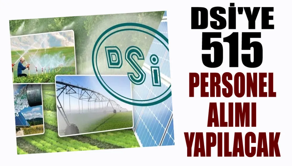 DSİ