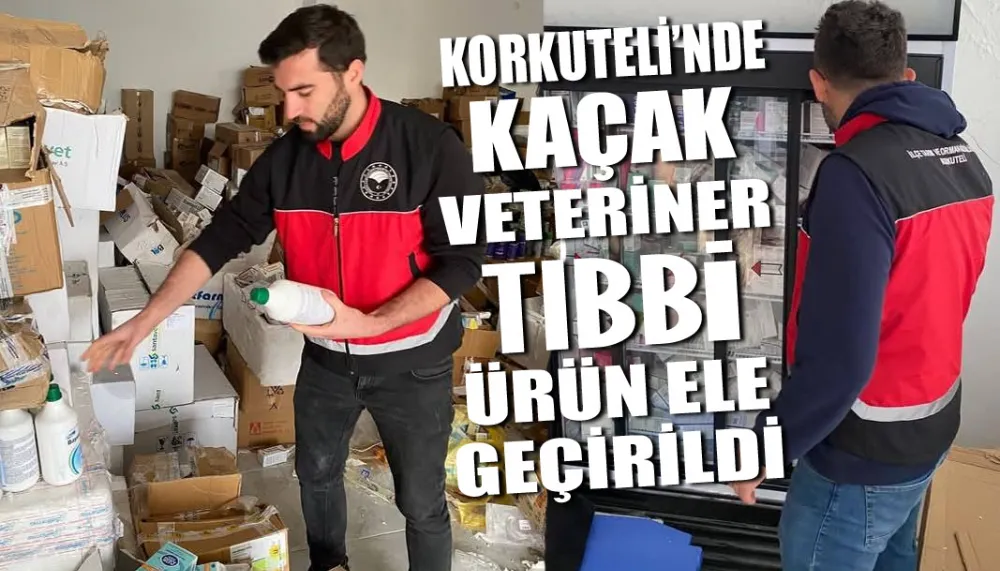 Korkuteli’nde kaçak veteriner tıbbi ürün ele geçirildi