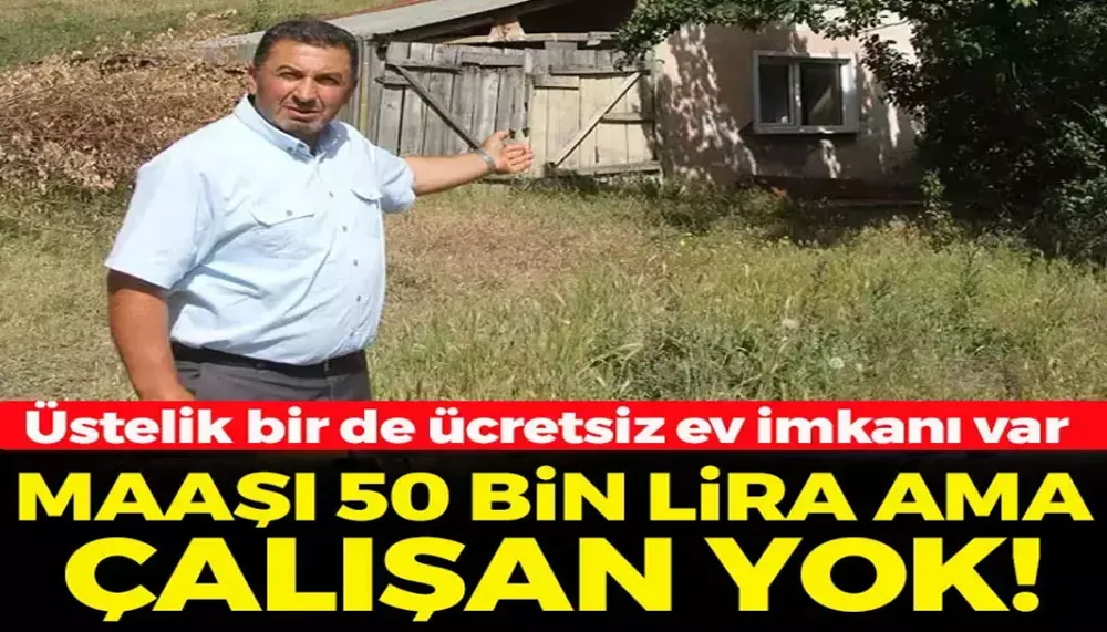 Maaşı 50 bin TL ama çalışan yok! Ücretsiz ev imkanı bile sundular