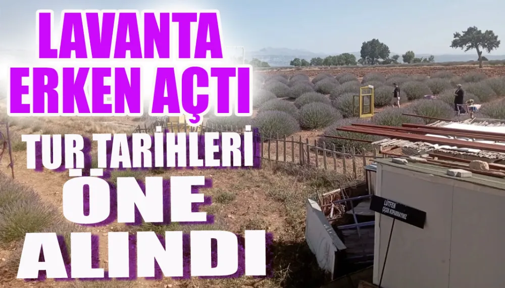 Lavanta erken açtı, tur tarihleri öne alındı