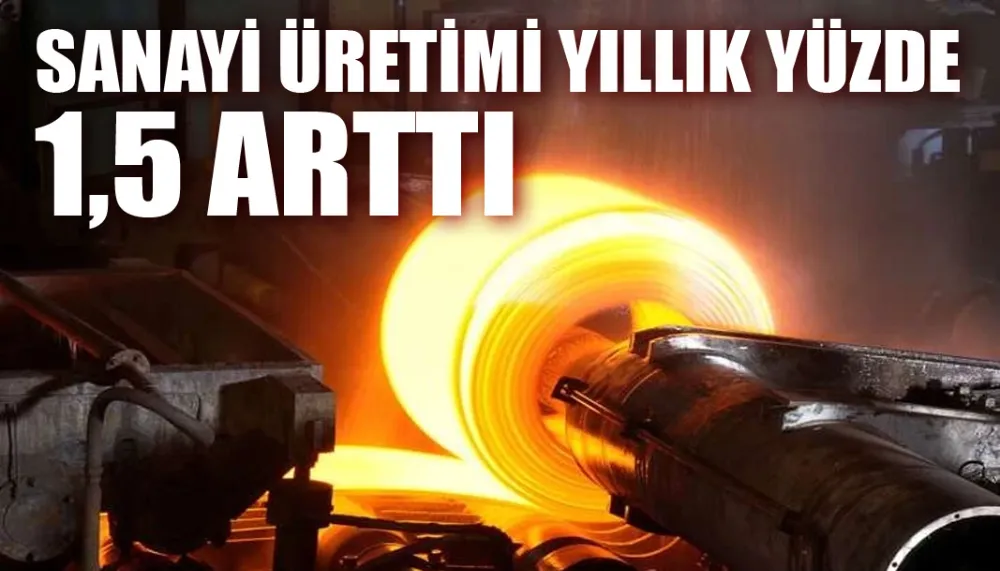 Sanayi üretimi yıllık yüzde 1,5 arttı