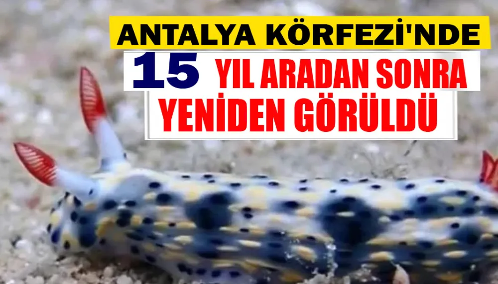 Antalya Körfezi