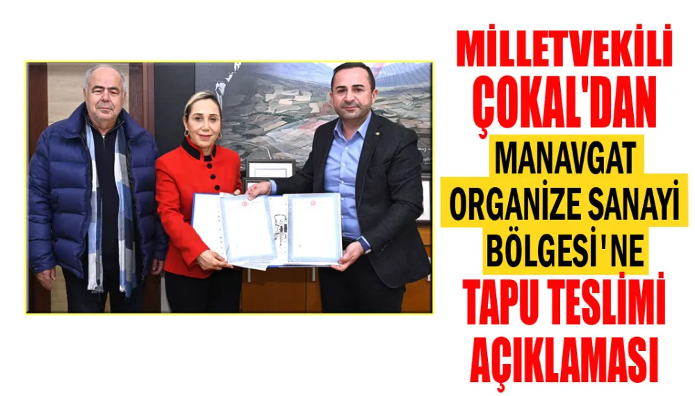 Milletvekili Çokal