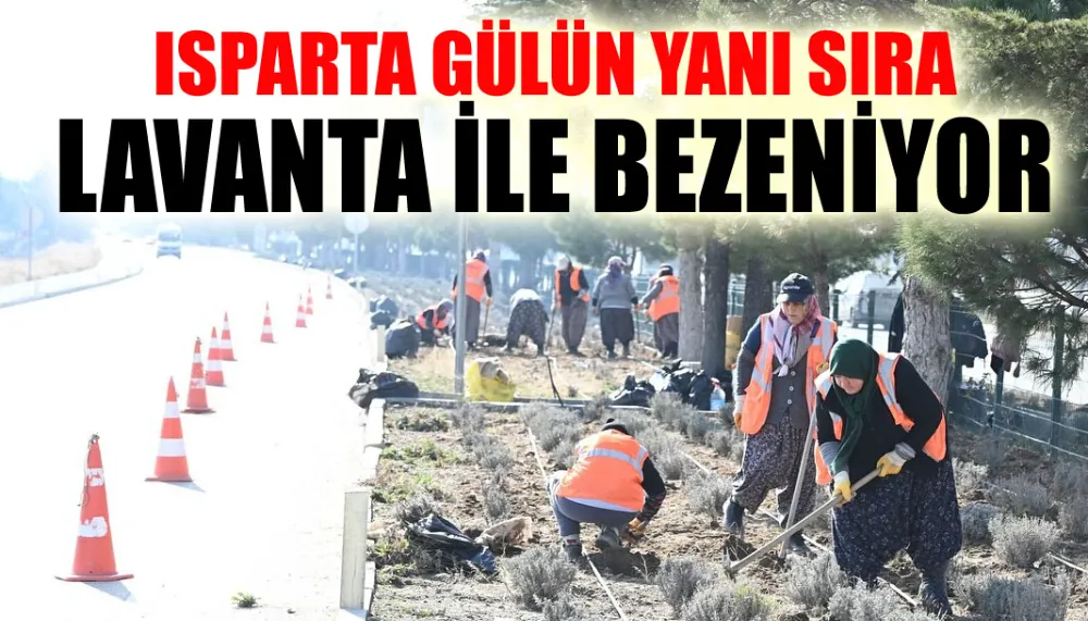 Isparta, gülün yanı sıra lavanta ile bezeniyor