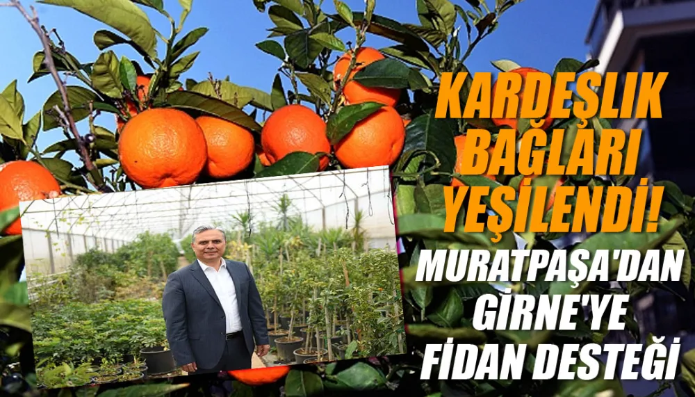 Kardeşlik bağları yeşilendi! Muratpaşa