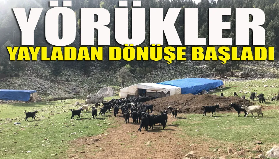 Havalar soğudu, yörüklerin dönüş yolculuğu başladı