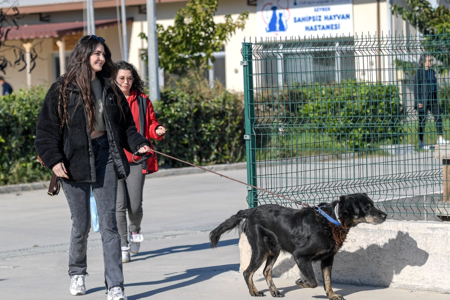 İzmir Menemen’deki yangından kurtarılan 17 hayvana Büyükşehir sahip çıktı