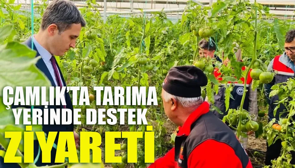 Çamlık’ta Tarıma Yerinde Destek Ziyareti