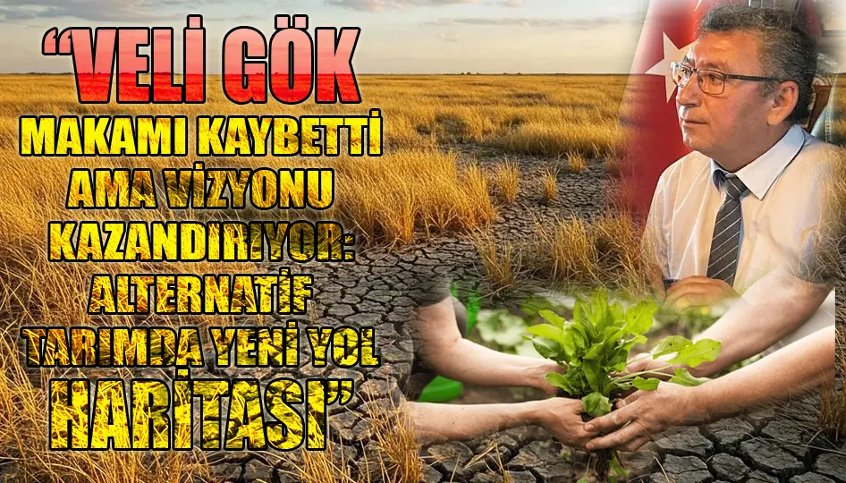 “Veli Gök’ün projeleri yol gösteriyor”