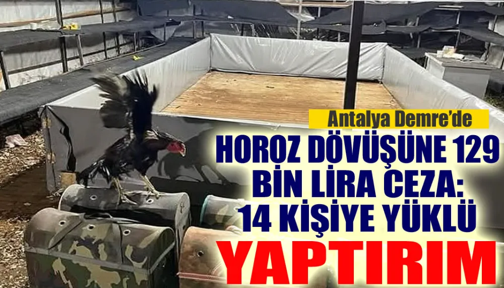 Horoz dövüşüne 129 bin lira ceza: 14 kişiye yüklü yaptırım