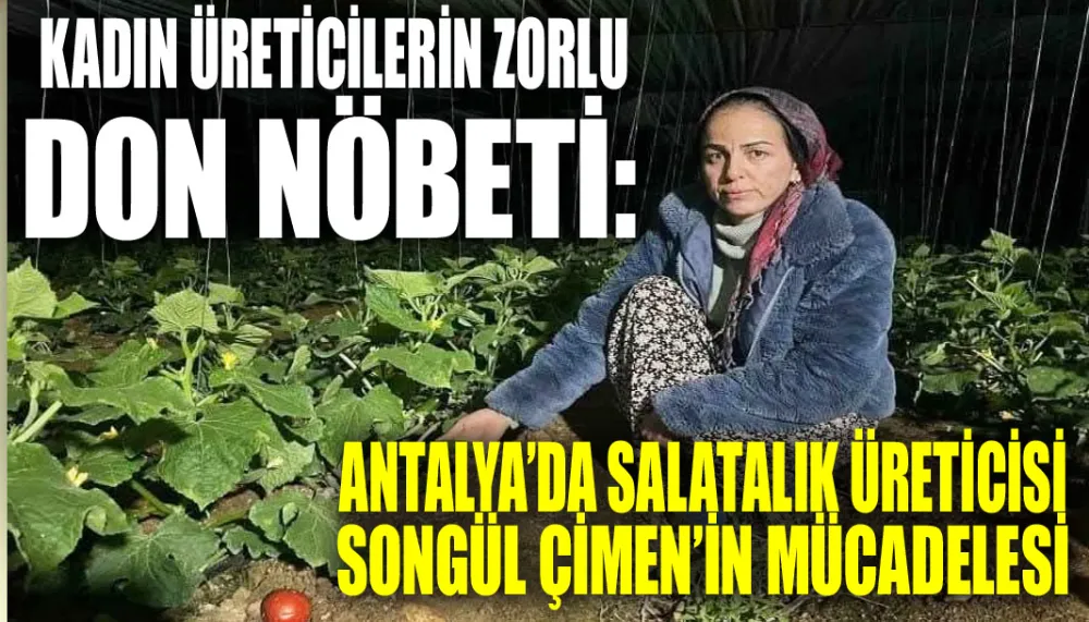 Kadın üreticilerin zorlu don nöbeti: Antalya’da salatalık üreticisi Songül Çimen’in mücadelesi