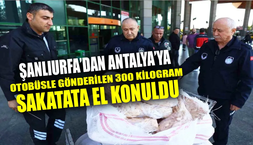 Şanlıurfa’dan Antalya’ya otobüsle gönderilen 300 kilogram sakatata el konuldu