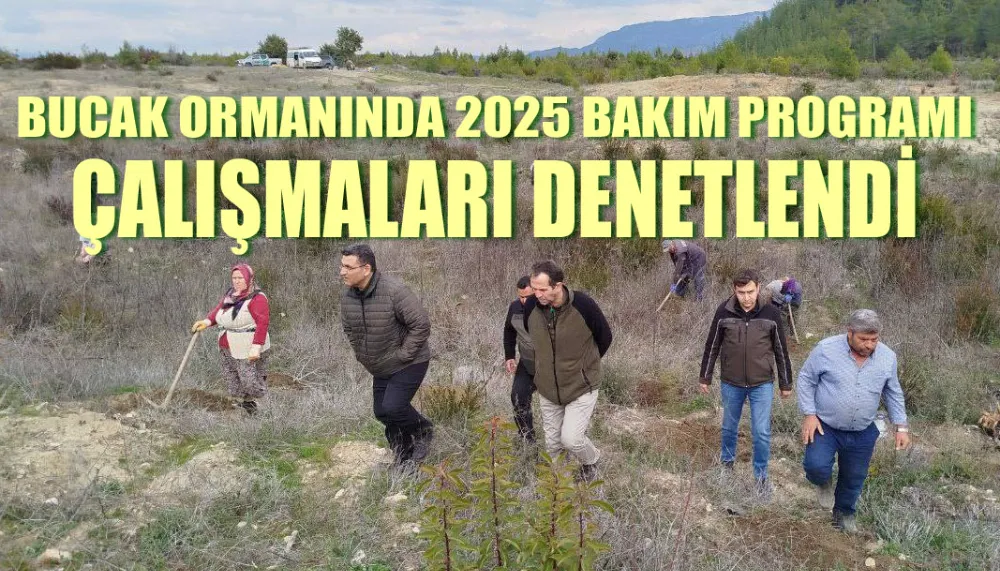 Bucak ormanında 2025 bakım programı çalışmaları denetlendi