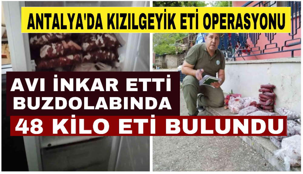 Yasa dışı avlanan kızılgeyik’in eti buzdolabında bulundu