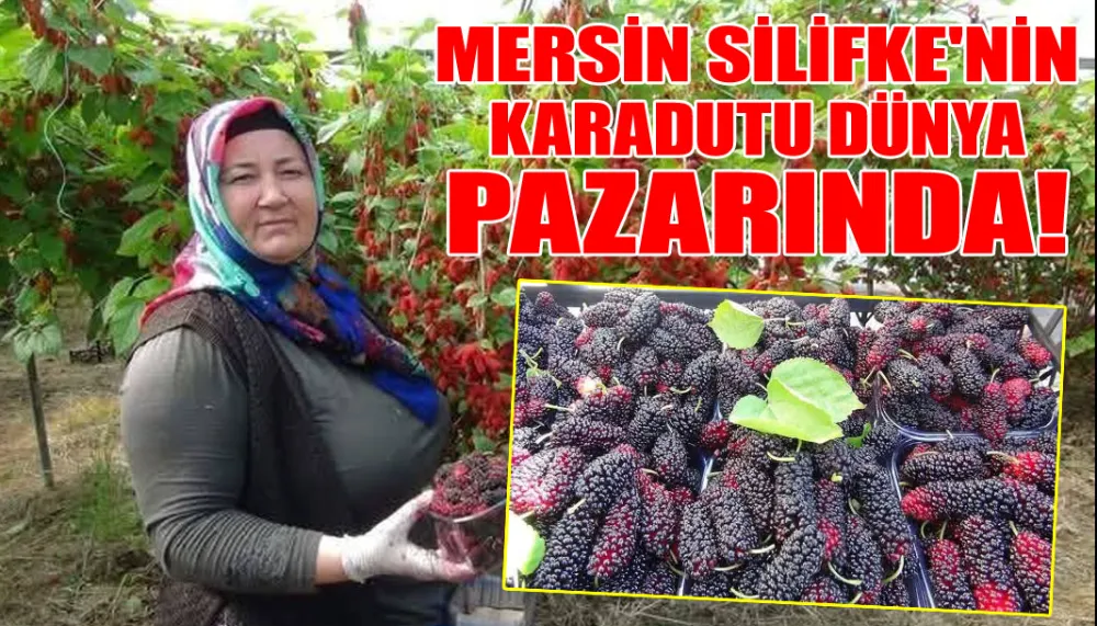 Mersin Silifke