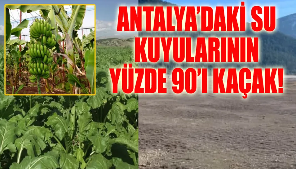 Antalya’daki su kuyularının yüzde 90’ı kaçak!