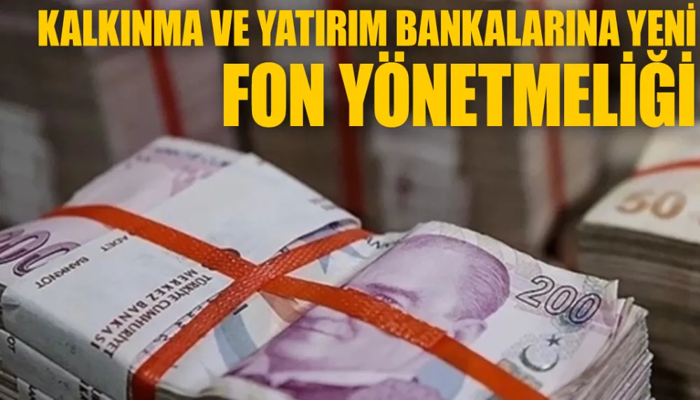 Kalkınma ve yatırım bankalarına yeni fon yönetmeliği