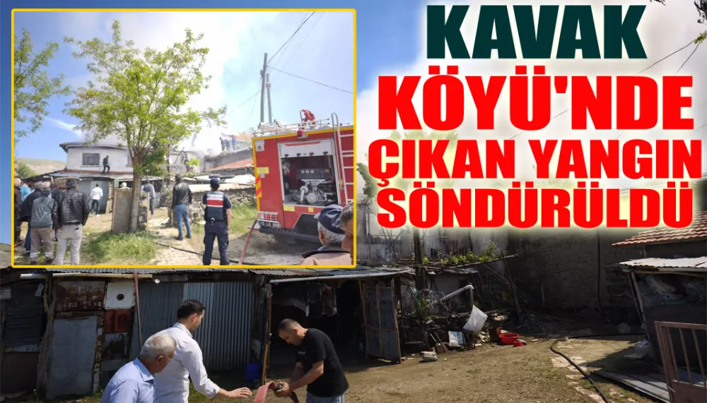Kavak Köyü
