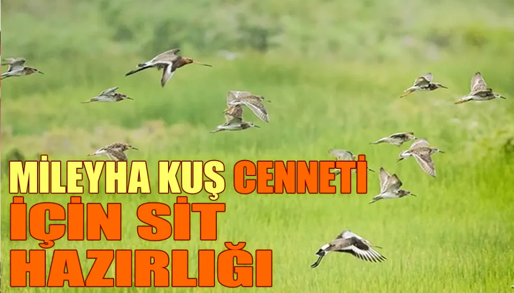 Mileyha Kuş Cenneti için SİT hazırlığı