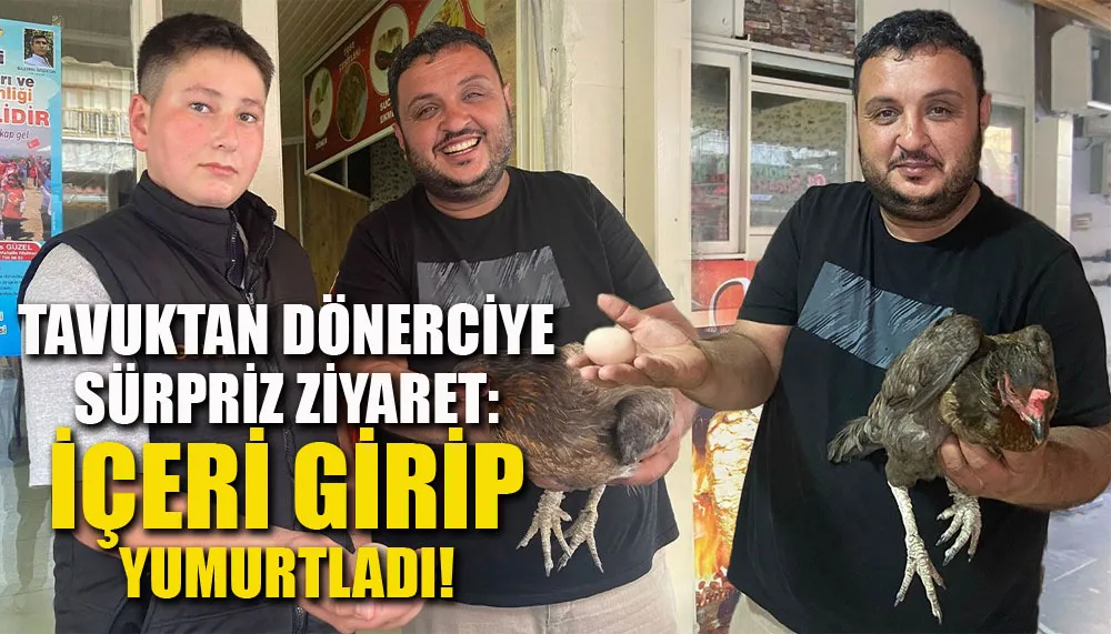 Tavuktan dönerciye sürpriz ziyaret: İçeri girip yumurtladı!