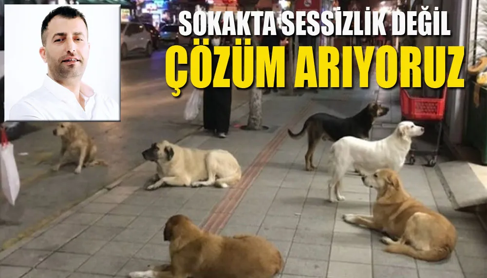 Gazeteci Samet Memiş: Sokakta sessizlik değil, çözüm arıyoruz