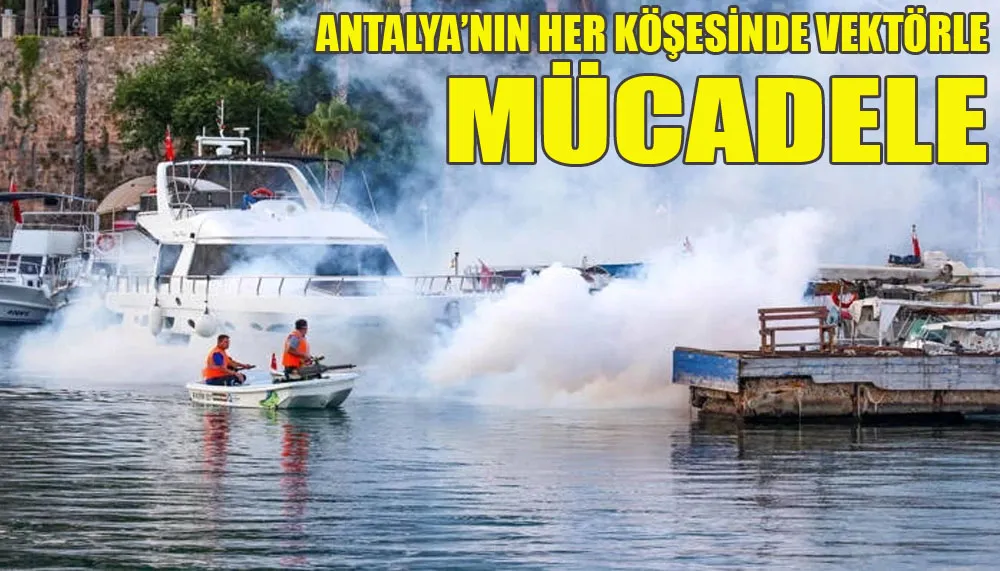 Antalya’nın her köşesinde vektörle mücadele