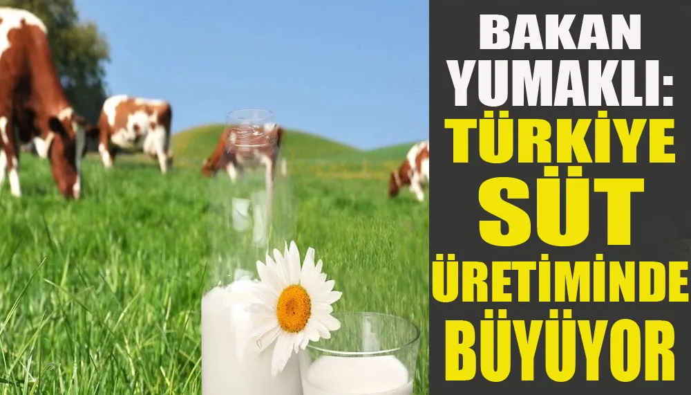 Bakan Yumaklı: Türkiye süt üretiminde büyüyor