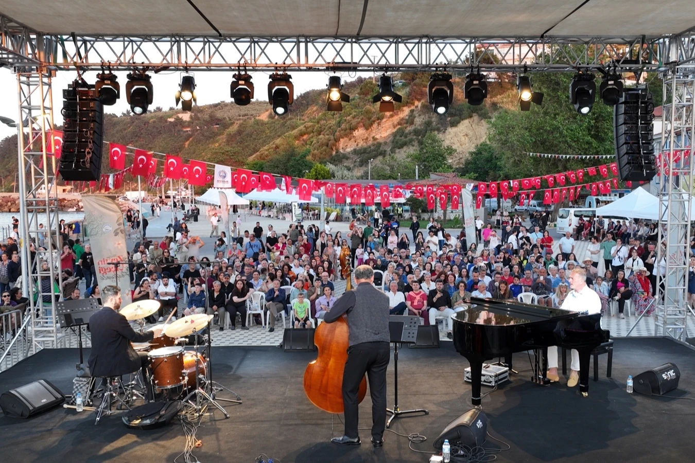 Tirilye Zeytin Çiçeği