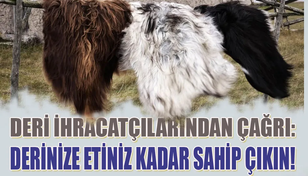 Deri ihracatçılarından çağrı: Derinize etiniz kadar sahip çıkın!