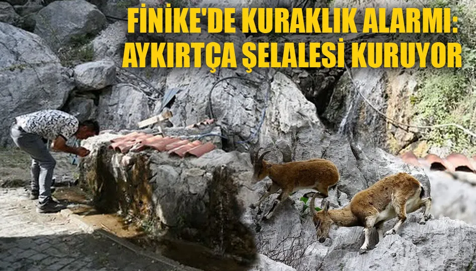 Finike