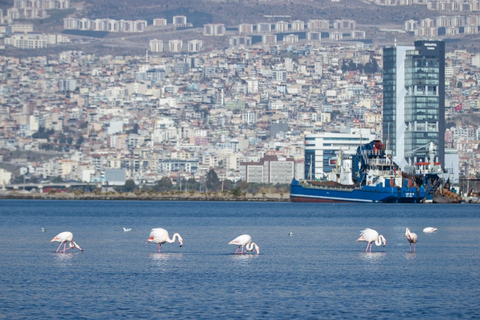 İzmir 