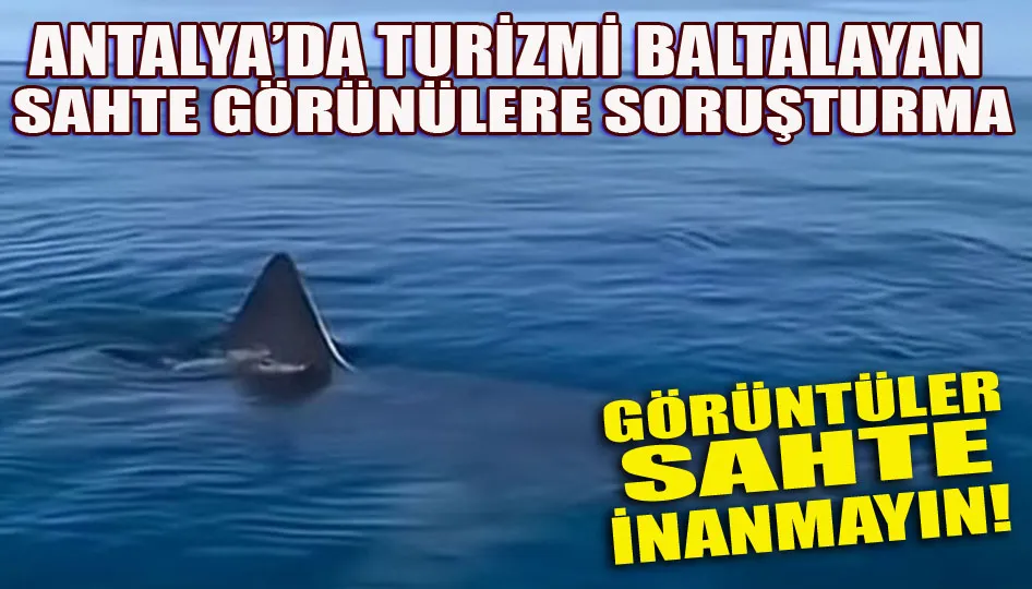 Sahte köpekbalığı videosu paniğe neden oldu: Kemer