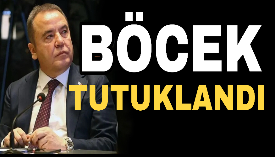 Böcek tutuklandı 