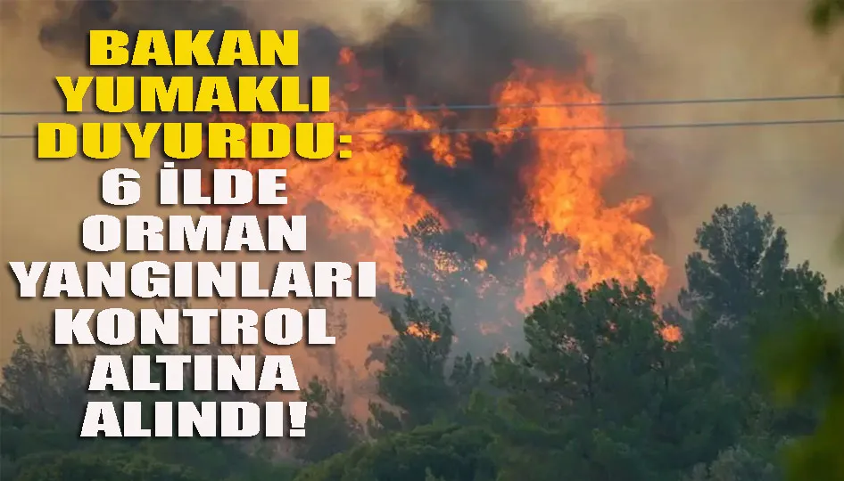 Bakan Yumaklı duyurdu: 6 ilde orman yangınları kontrol altına alındı!